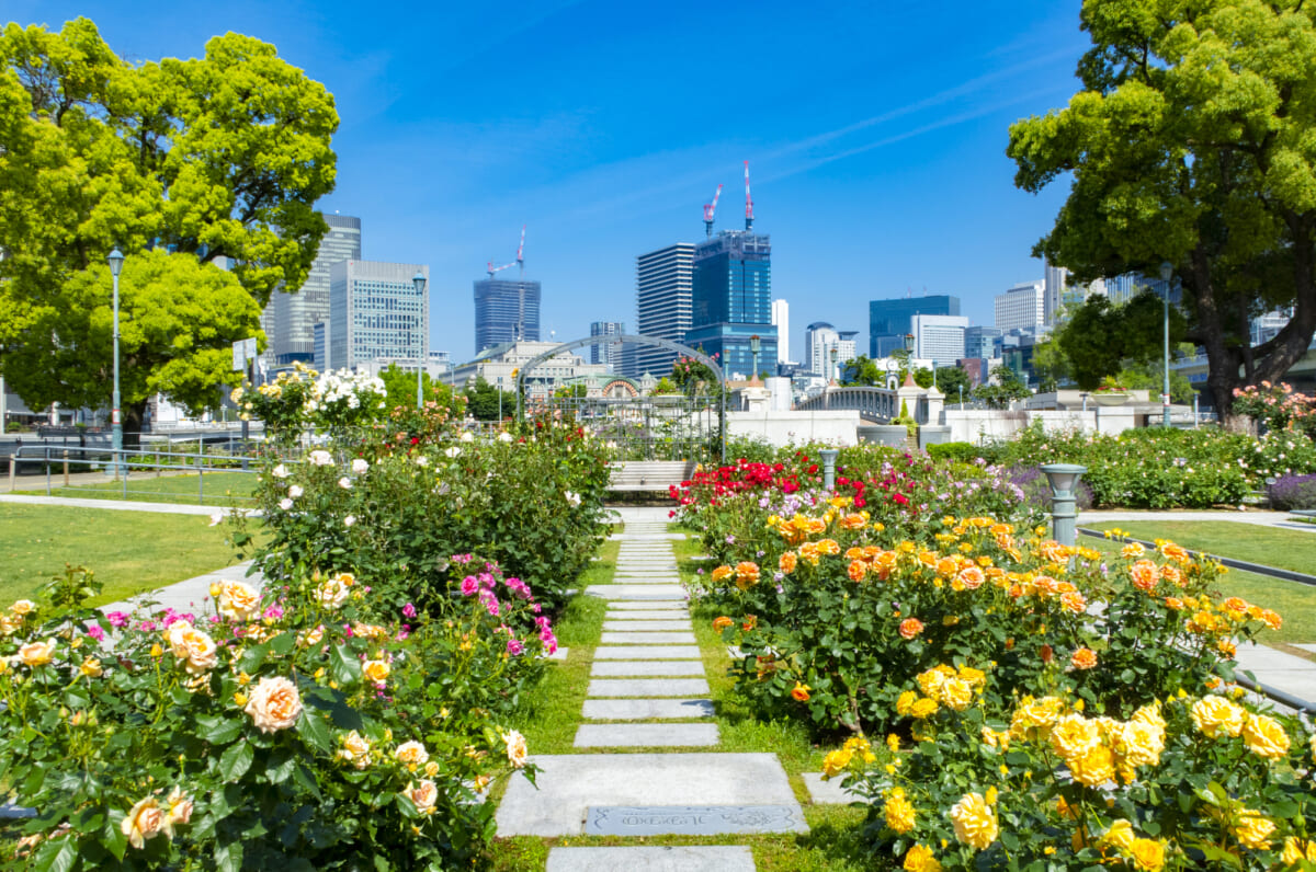 中之島公園